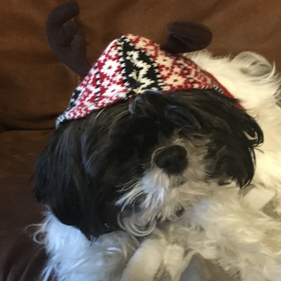 Meet your Posher, Emily - Picture 1 of 1